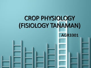 CROP PHYSIOLOGY
(FISIOLOGY TANAMAN)
AGR3301
 