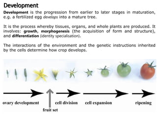 Crop Analysis Lesson 1 Introduction and Crop Growth Analysis AGR3301 Sem2 MAR 2022.pdf