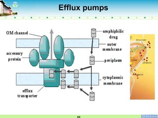 lesson 1 Introduction and General Principle of antimicrobial therapy (1 ...