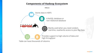 Components of Hadoop Ecosystem
HBase
Mainly used when you need random,
real-time, read/write access to your Big Data
Provides support to high volume of data and
high throughput
A NoSQL database or
non-relational database
Stores data in HDFS
Table can have thousands of columns
 