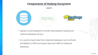 Components of Hadoop Ecosystem
SQOOP
• Sqoop is a tool designed to transfer data between Hadoop and
relational database servers.
• It is used to import data from relational databases such as Oracle
and MySQL to HDFS and export data from HDFS to relational
databases.
 