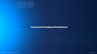Commercial Hadoop Distributions
 