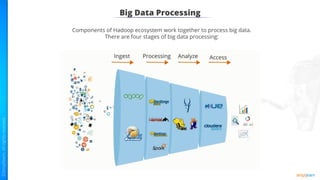 Big Data Processing
Components of Hadoop ecosystem work together to process big data.
There are four stages of big data processing:
 