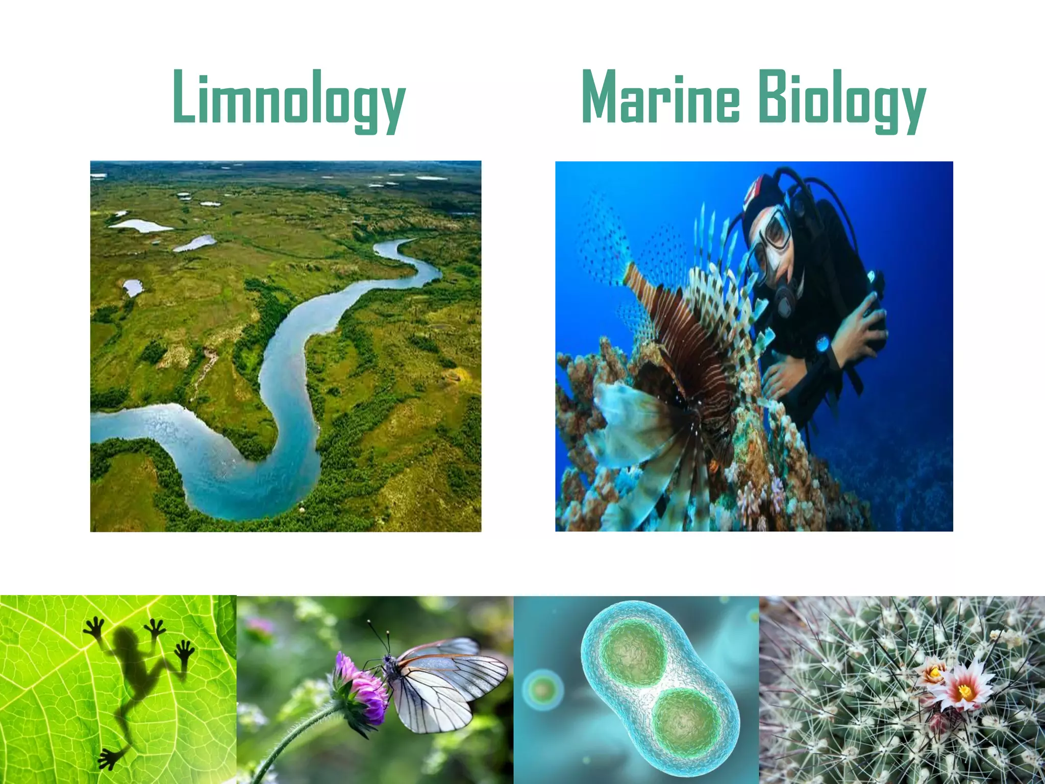 Limnology Marine Biology
 