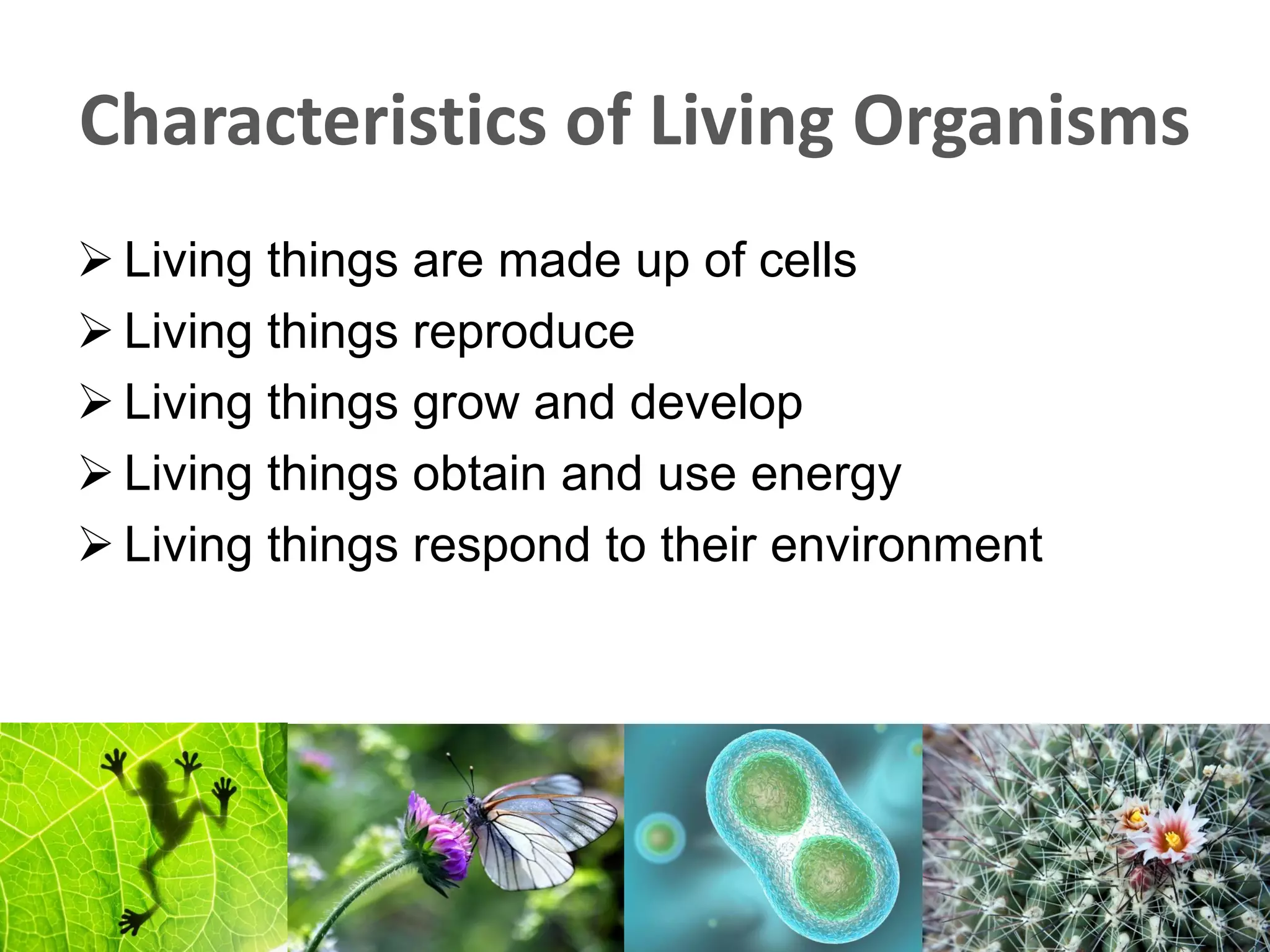 Characteristics of Living Organisms
 Living things are made up of cells
 Living things reproduce
 Living things grow and develop
 Living things obtain and use energy
 Living things respond to their environment
 