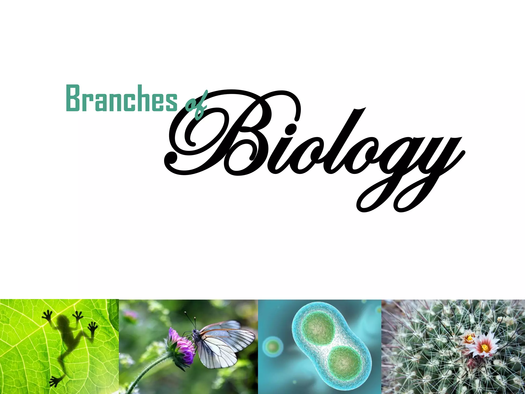 BiologyBranches of
 