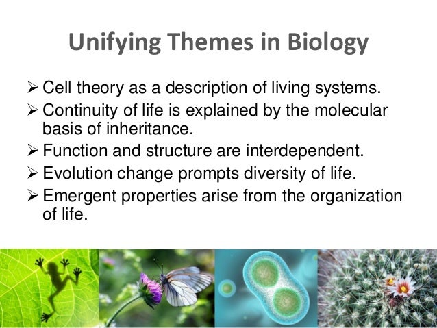 what is unifying theory in biology