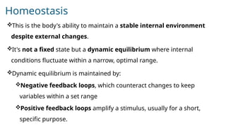 Homeostasis Introduction Lesson 1Introduction to Pathophysiology,Homeostasis,clinical physiology ...