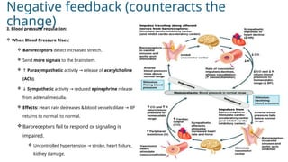 Lesson 1Introduction to Pathophysiology,Homeostasis,clinical physiology ...