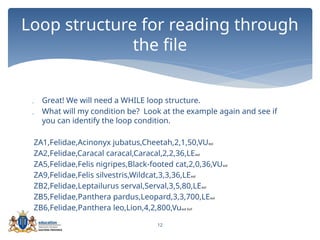 12
 Great! We will need a WHILE loop structure.
 What will my condition be? Look at the example again and see if
you can identify the loop condition.
ZA1,Felidae,Acinonyx jubatus,Cheetah,2,1,50,VUeol
ZA2,Felidae,Caracal caracal,Caracal,2,2,36,LEeol
ZA5,Felidae,Felis nigripes,Black-footed cat,2,0,36,VUeol
ZA9,Felidae,Felis silvestris,Wildcat,3,3,36,LEeol
ZB2,Felidae,Leptailurus serval,Serval,3,5,80,LEeol
ZB5,Felidae,Panthera pardus,Leopard,3,3,700,LEeol
ZB6,Felidae,Panthera leo,Lion,4,2,800,Vueol EoF
Loop structure for reading through
the file
 