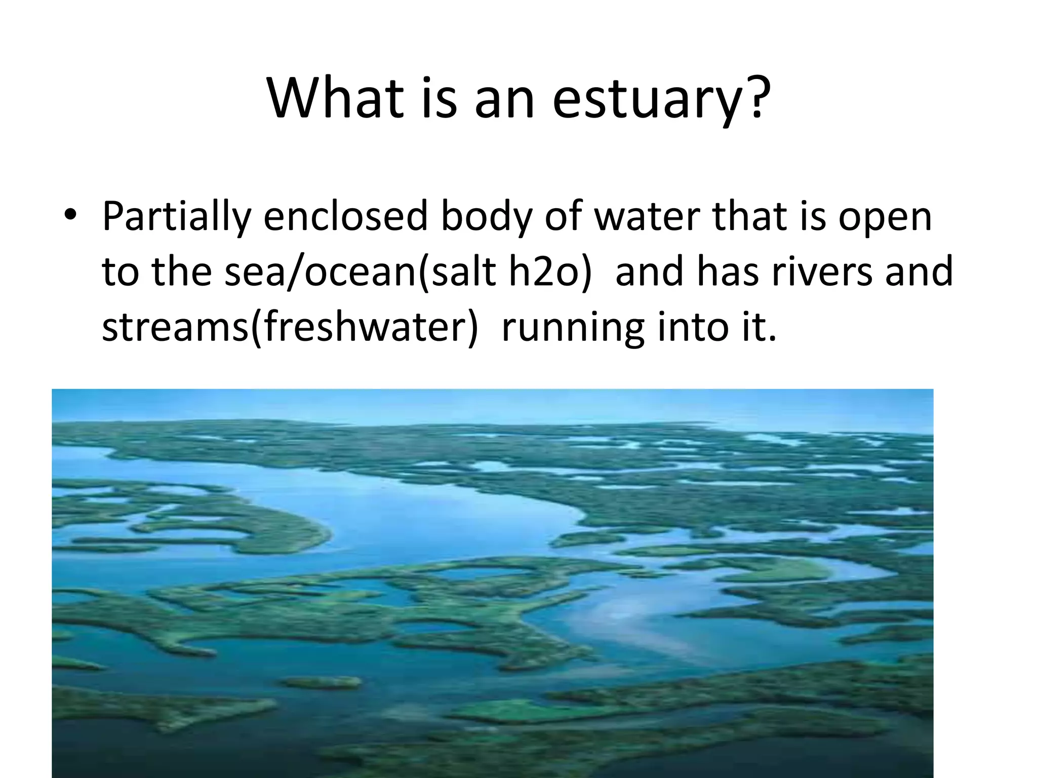 What is an estuary?
• Partially enclosed body of water that is open
  to the sea/ocean(salt h2o) and has rivers and
  streams(freshwater) running into it.
 