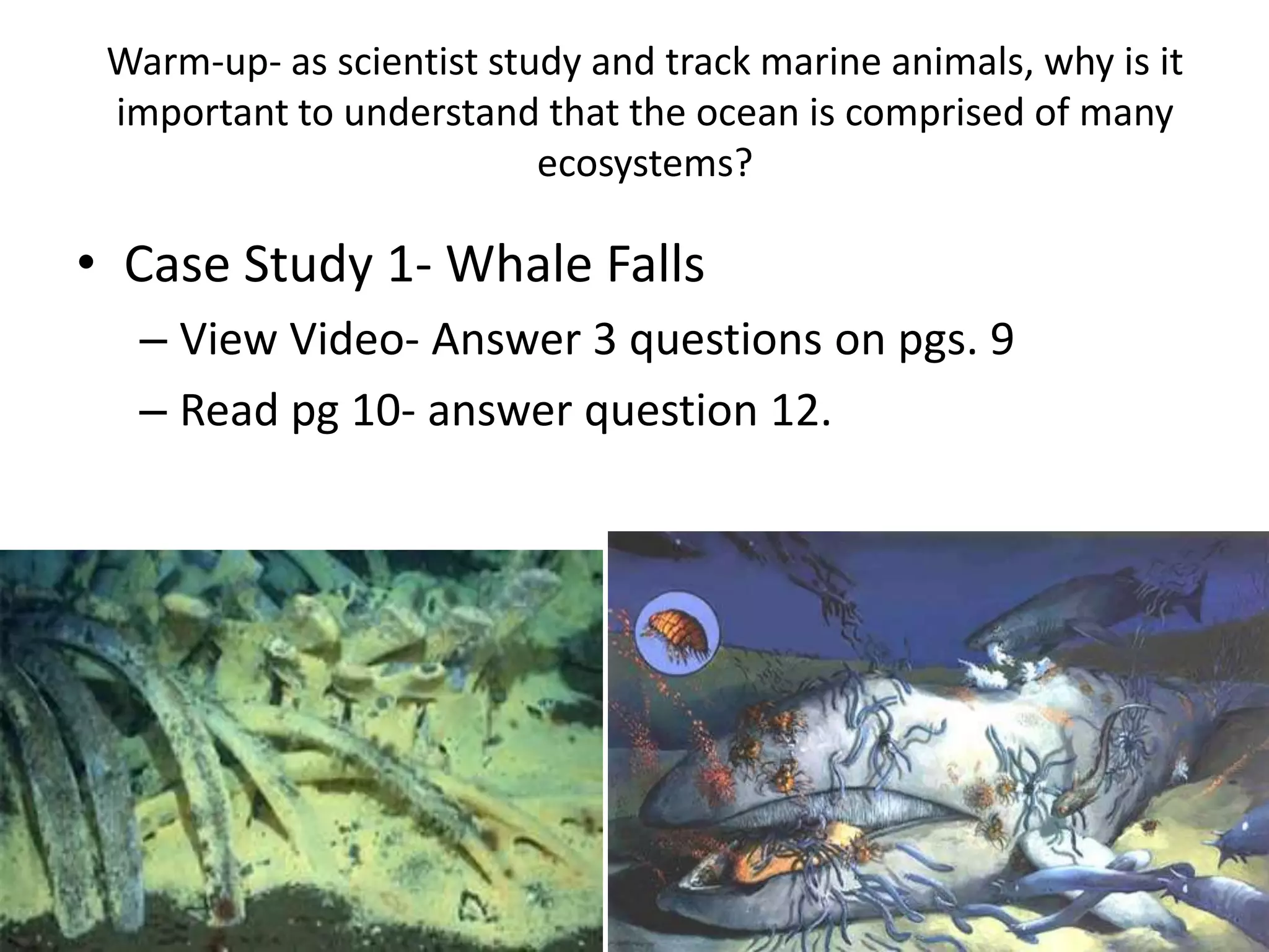 Warm-up- as scientist study and track marine animals, why is it
 important to understand that the ocean is comprised of many
                          ecosystems?

• Case Study 1- Whale Falls
  – View Video- Answer 3 questions on pgs. 9
  – Read pg 10- answer question 12.
 