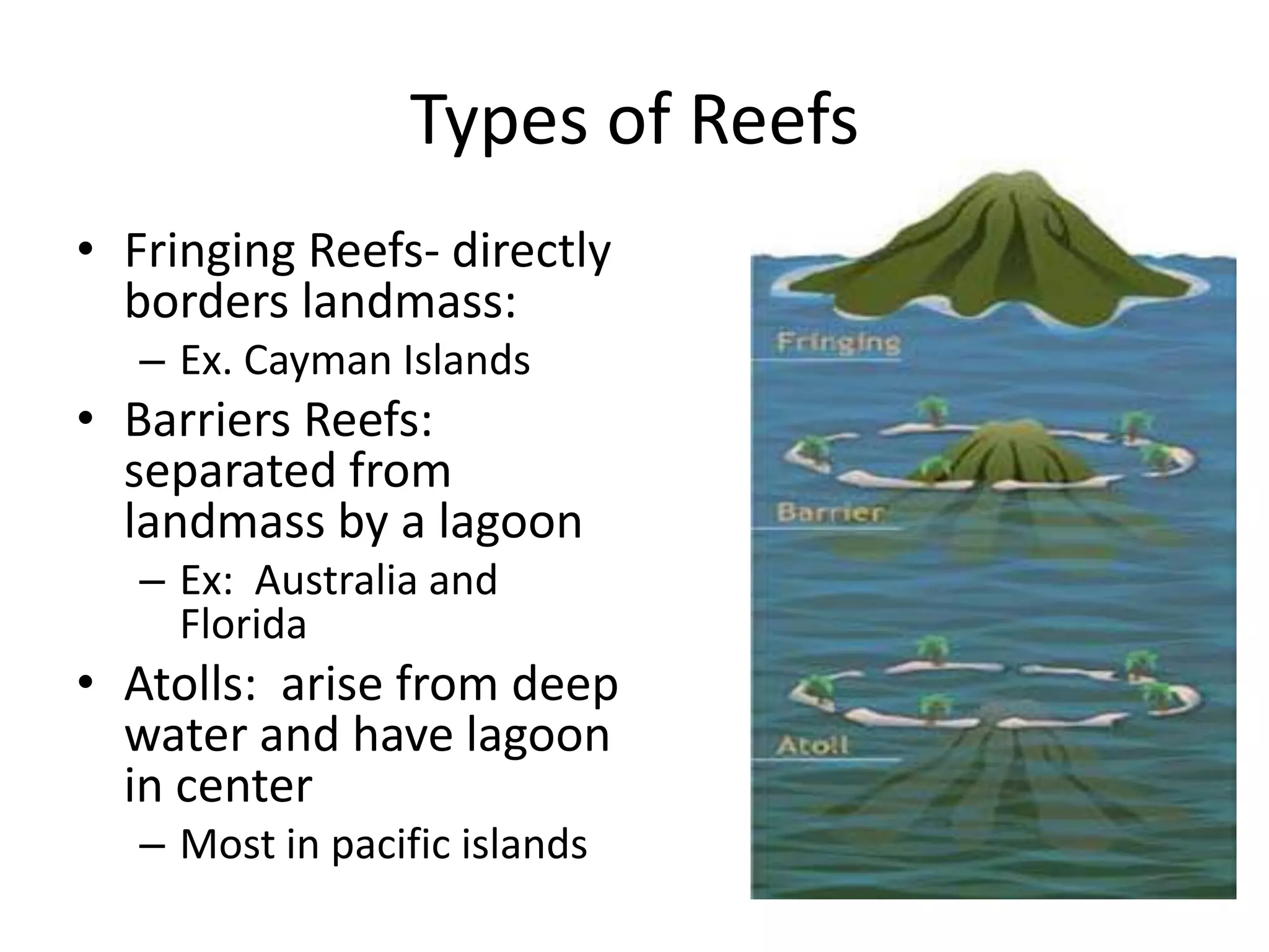 Types of Reefs
• Fringing Reefs- directly
  borders landmass:
   – Ex. Cayman Islands
• Barriers Reefs:
  separated from
  landmass by a lagoon
   – Ex: Australia and
     Florida
• Atolls: arise from deep
  water and have lagoon
  in center
   – Most in pacific islands
 
