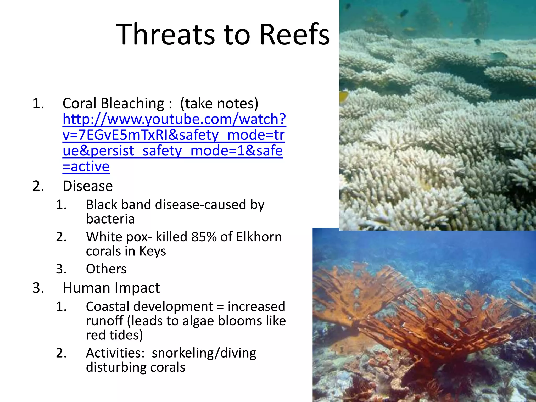 Threats to Reefs
1.    Coral Bleaching : (take notes)
      http://www.youtube.com/watch?
      v=7EGvE5mTxRI&safety_mode=tr
      ue&persist_safety_mode=1&safe
      =active
2.    Disease
     1.   Black band disease-caused by
          bacteria
     2.   White pox- killed 85% of Elkhorn
          corals in Keys
     3.   Others
3.    Human Impact
     1.   Coastal development = increased
          runoff (leads to algae blooms like
          red tides)
     2.   Activities: snorkeling/diving
          disturbing corals
 