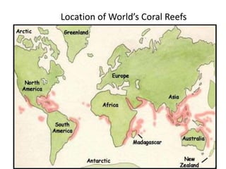 Location of World’s Coral Reefs
 