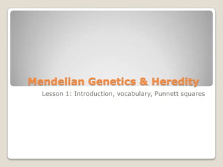 Mendelian Genetics & Heredity
  Lesson 1: Introduction, vocabulary, Punnett squares
 