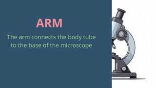 Arm Micrograph LESSON 1_MICROSCOPE and its partsssssssss | PPTX