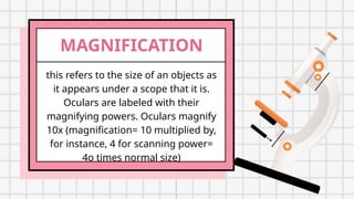 learn the history, parts, and functions of microscope | PPTX