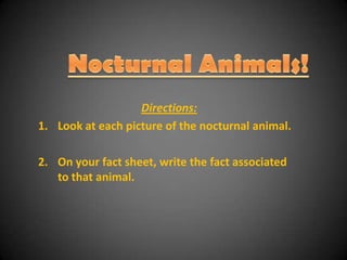 Nocturnal Animals! Directions: Look at each picture of the nocturnal animal. On your fact sheet, write the fact associated to that animal. 