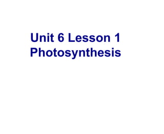 Unit 6 Lesson 1
Photosynthesis
 