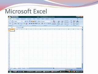 Microsoft Excel