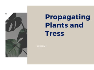 Propagating
Plants and
Tress
LESSON 1:
01
 