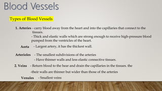 Types of Blood Vessels
1. Arteries - carry blood away from the heart and into the capillaries that connect to the
tissues.
- Thick and elastic walls which are strong enough to receive high-pressure blood
pumped from the ventricles of the heart.
Aorta - Largest artery, it has the thickest wall.
Arterioles - The smallest subdivisions of the arteries
- Have thinner walls and less elastic connective tissues.
2. Veins - Return blood to the hear and drain the capillaries in the tissues. the
-their walls are thinner but wider than those of the arteries
Venules - Smallest veins
 