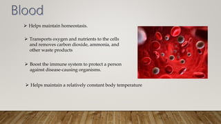  Helps maintain homeostasis.
 Transports oxygen and nutrients to the cells
and removes carbon dioxide, ammonia, and
other waste products
 Boost the immune system to protect a person
against disease-causing organisms.
 Helps maintain a relatively constant body temperature
 