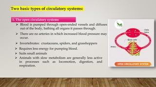 Two basic types of circulatory systems:
1. The open circulatory systems
 Blood is pumped through open-ended vessels and diffuses
out of the body, bathing all organs it passes through.
 There are no arteries in which increased blood pressure may
occur.
 Invertebrates: crustaceans, spiders, and grasshoppers
 Requires less energy for pumping blood.
 Suits small animals
 Animals with slow metabolism are generally less active
in processes such as locomotion, digestion, and
respiration.
 