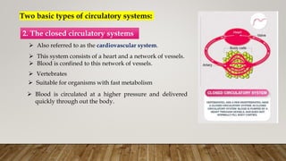 Two basic types of circulatory systems:
2. The closed circulatory systems
 Also referred to as the cardiovascular system.
 This system consists of a heart and a network of vessels.
 Blood is confined to this network of vessels.
 Vertebrates
 Suitable for organisms with fast metabolism
 Blood is circulated at a higher pressure and delivered
quickly through out the body.
 