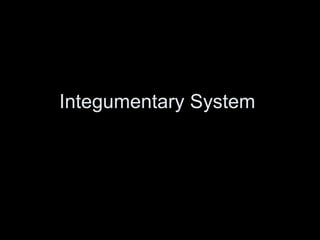 Integumentary System  
