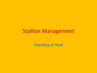Stallion Management

    Standing at Stud
 