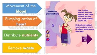 Movement of the
blood
Pumping action of
heart
Distribute nutrients
Remove waste
 