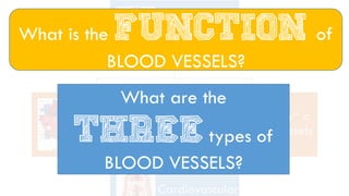 What is the function of
BLOOD VESSELS?
What are the
three types of
BLOOD VESSELS?
 