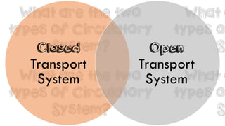 Closed
Transport
System
Open
Transport
System
 