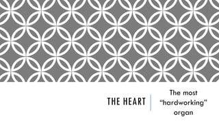 THE HEART
The most
“hardworking”
organ
 