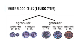 WHITE BLOOD CELLS [LEUKOCYTES]
 