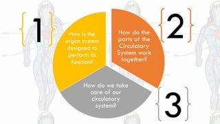 How do the
parts of the
Circulatory
System work
together?
How do we take
care of our
circulatory
system?
How is the
organ system
designed to
perform its
function?
1 2
3
 