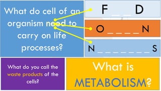 What do cell of an
organism need to
carry on life
processes?
What is
METABOLISM?
What do you call the
waste products of the
cells?
F _ _ D
O _ _ _ _ N
N _ _ _ _ _ _ _ S
 