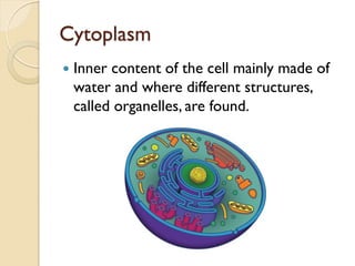 Lesson 1 the cell | PDF