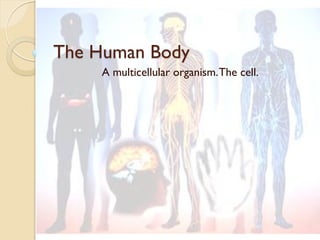 The Human Body
A multicellular organism.The cell.
 
