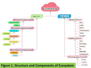 Lesson 1 The Ecosystem.pptx