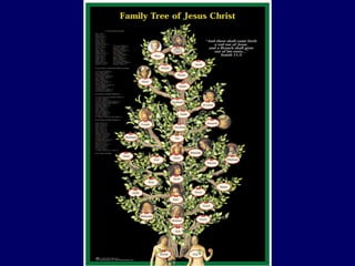 Lesson 1; The Genealogy Of The Promised King (Matthew 11-17) | PPT