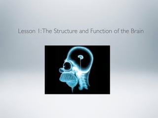 Lesson 1:The Structure and Function of the Brain
 