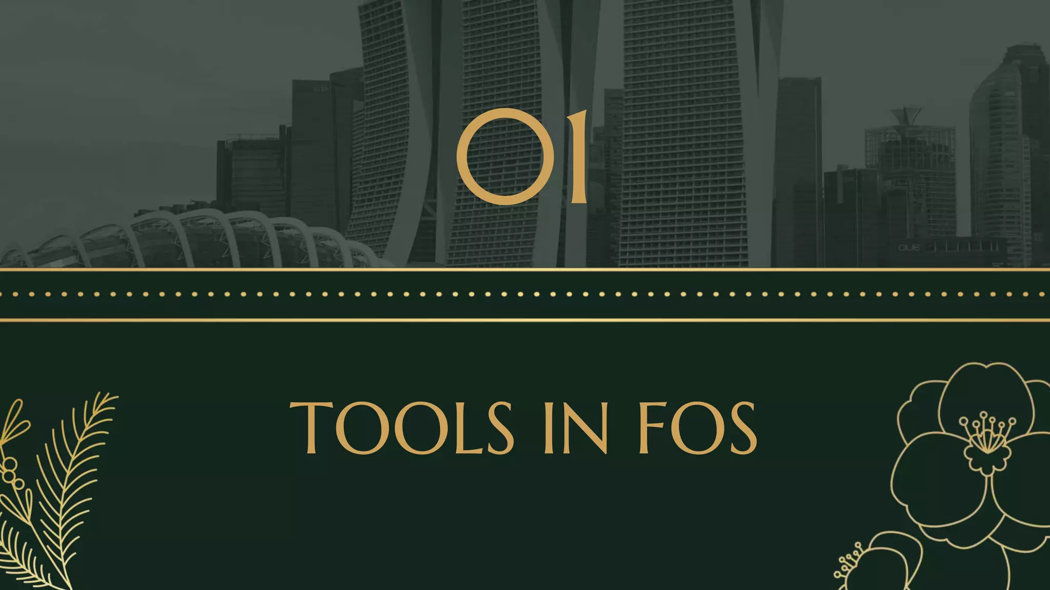 Lesson 1 Tools and Equipment in FOS.pptx