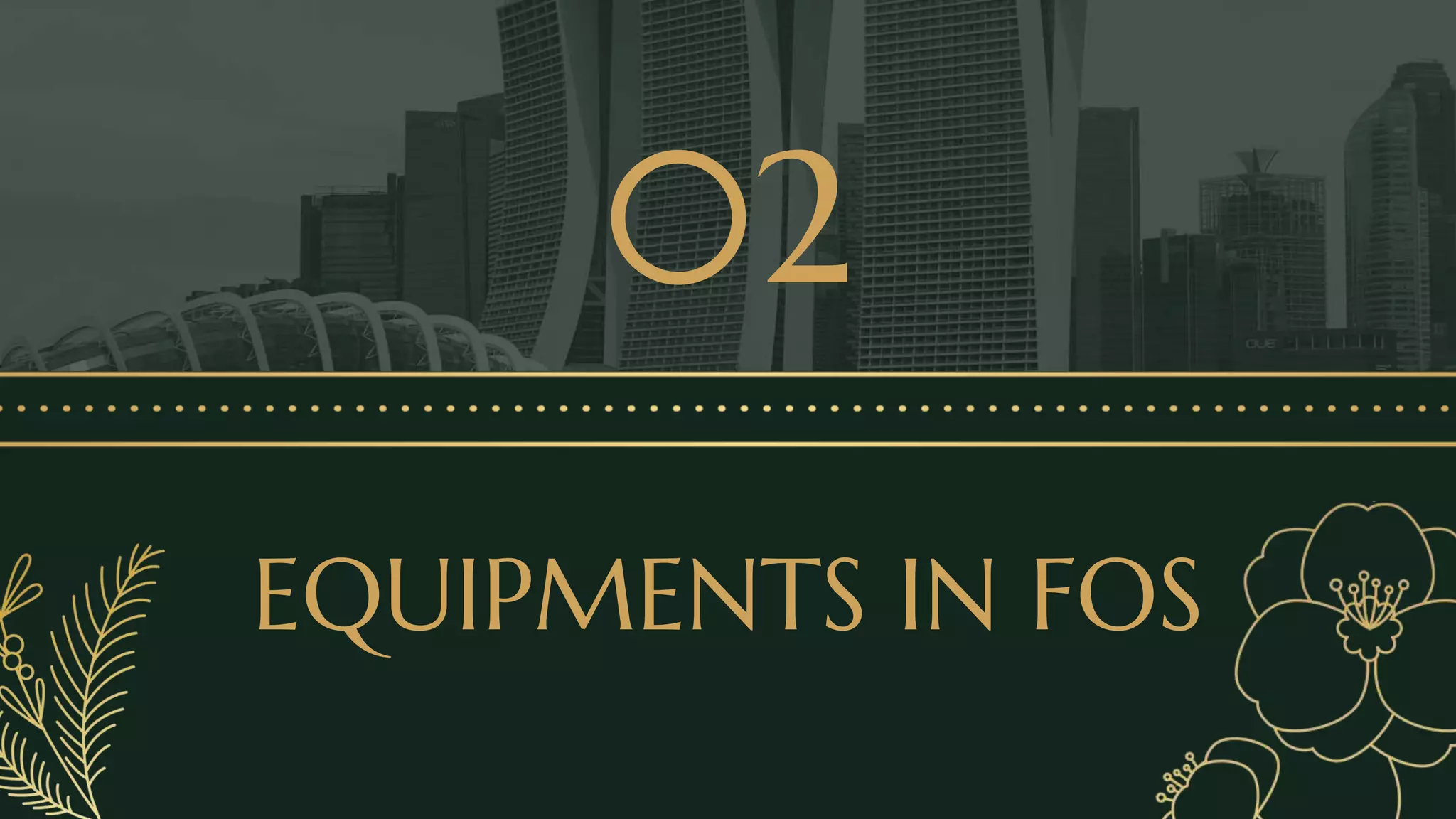 Lesson 1 Tools and Equipment in FOS.pptx