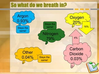 So what do we breath in?
  Argon                       Oxygen
  0.93%                        20%
                  Stays the
                   same!                16%
  Stays the
   same!
                Nitrogen
                                4%
                  79%

                              Carbon
     Other                    Dioxide
     0.04%    Stays the
                              0.03%
               same!
 