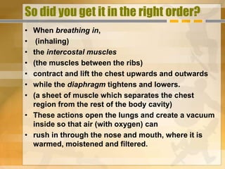 So did you get it in the right order?
• When breathing in,
•  (inhaling)
• the intercostal muscles
• (the muscles between the ribs)
• contract and lift the chest upwards and outwards
• while the diaphragm tightens and lowers.
• (a sheet of muscle which separates the chest
  region from the rest of the body cavity)
• These actions open the lungs and create a vacuum
  inside so that air (with oxygen) can
• rush in through the nose and mouth, where it is
  warmed, moistened and filtered.
 