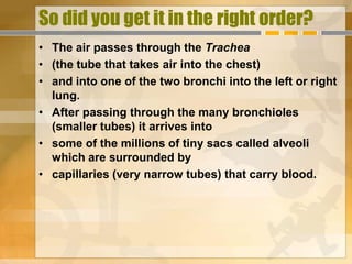 So did you get it in the right order?
• The air passes through the Trachea
• (the tube that takes air into the chest)
• and into one of the two bronchi into the left or right
  lung.
• After passing through the many bronchioles
  (smaller tubes) it arrives into
• some of the millions of tiny sacs called alveoli
  which are surrounded by
• capillaries (very narrow tubes) that carry blood.
 