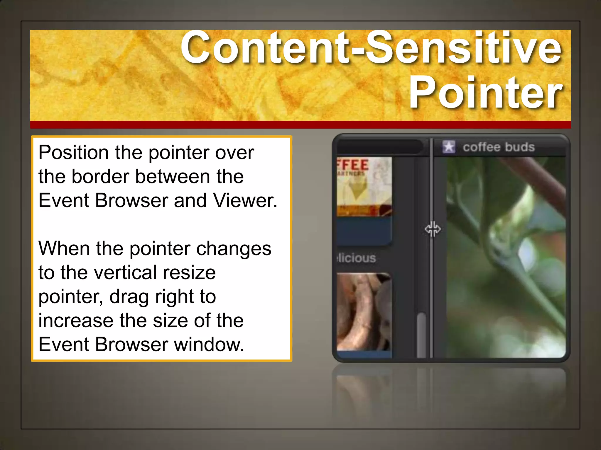 Content-Sensitive
                       Pointer
Position the pointer over
the border between the
Event Browser and Viewer.

When the pointer changes
to the vertical resize
pointer, drag right to
increase the size of the
Event Browser window.
 